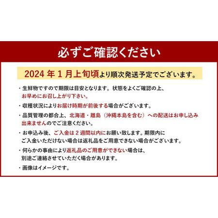 ふるさと納税  博多あまおう 2パック（冬） 福岡県太宰府市