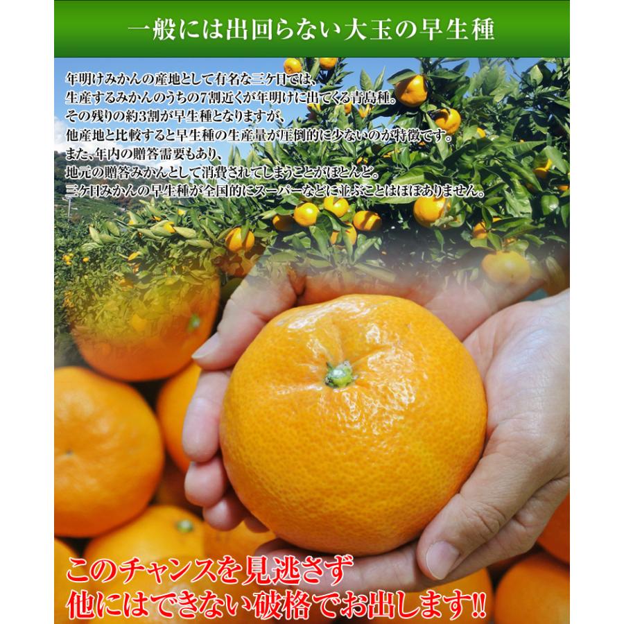 『三ヶ日みかん（早生）』静岡県産 超大玉3Lサイズ 約7kg 産地箱入 ※常温 JAみっかび  送料無料　※3Lがない時に限り2Lで出荷します