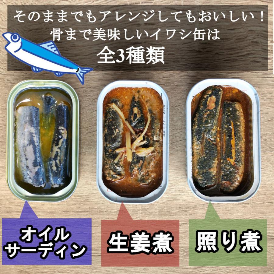 いわし生姜煮缶 100gx24缶 業務用 鰯ショウガ煮付け イワシ煮 まとめ買い 買い置き おつまみ アテ 酒の肴 おつまみセット 送料無料