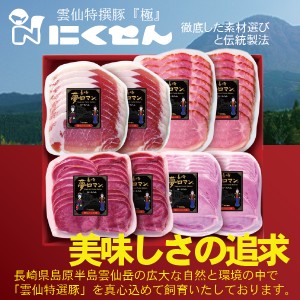 ハムギフト 長崎 雲仙 国産 冷蔵直送 送料無料 にくせん NPG-18 おつまみセット詰め合わせ セット『NKS』