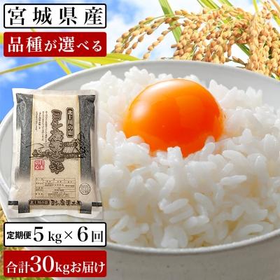 ふるさと納税 石巻市 令和5年産ヨシ腐葉土米 精米30kg(5kg×6回発送)ひとめぼれ