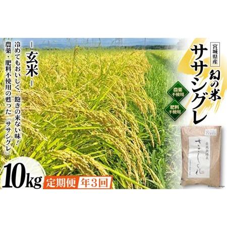 ふるさと納税 3回 定期便 希少品種米 ササシグレ 玄米 10kg×3回 総計30kg   長沼 太一   宮城県 加美町 宮城県加美町