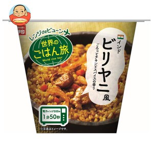 幸南食糧 レンジdeビューン 世界のごはん旅 ビリヤニ風 160g×12個入×(2ケース)｜ 送料無料