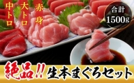 絶品！生本マグロセット　大トロ 400g   中トロ 400g   赤身 400g（すべて柵どり）