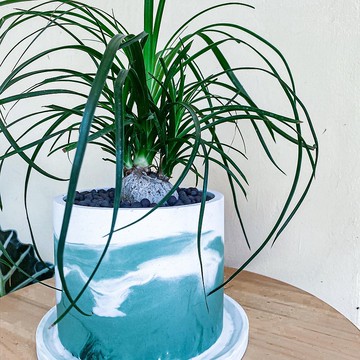 【手作水泥盆】 客製選色/ 大圓盆組