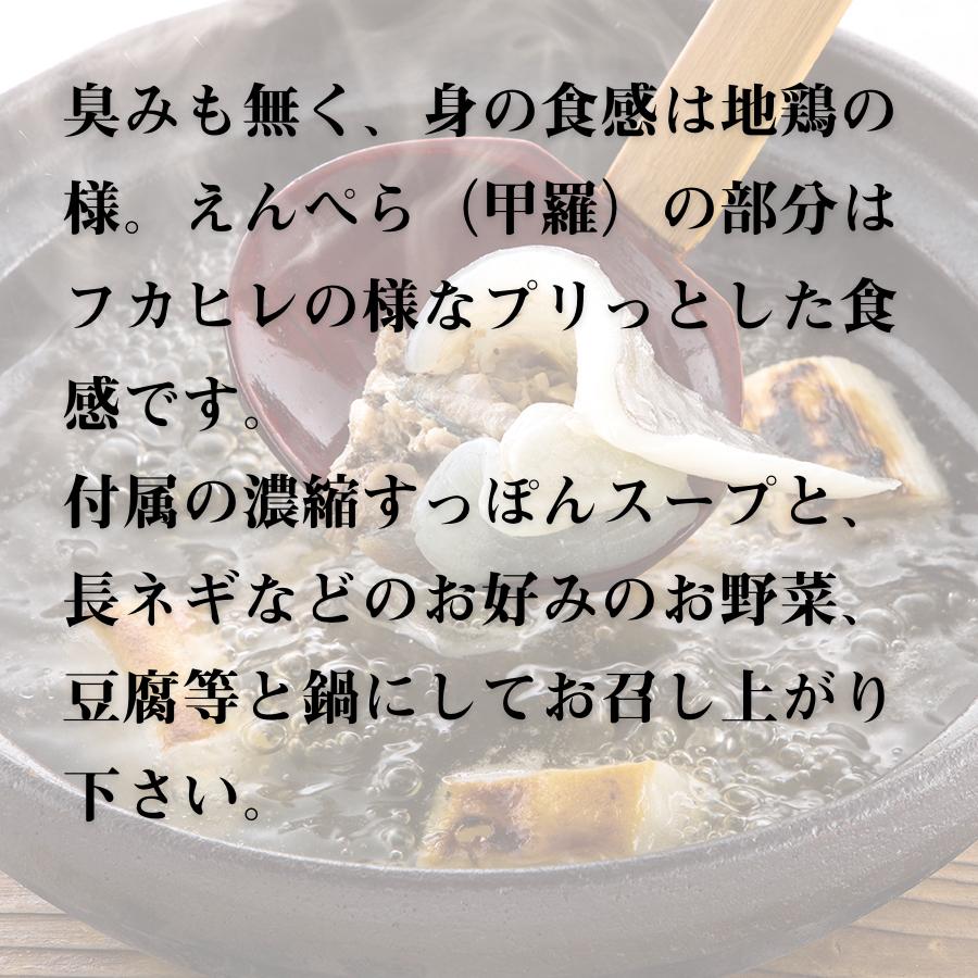 すっぽん スッポン すっぽん鍋 4人前セット　コラーゲンたっぷり 薬膳　黒門市場　鼈