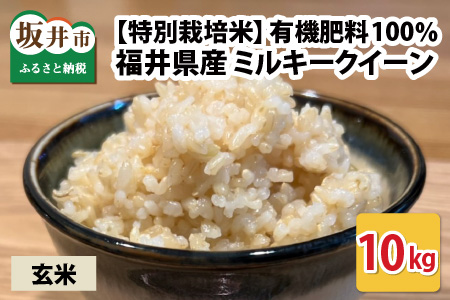 福井県産 ミルキークイーン 10kg ～化学肥料にたよらない100%の有機肥料～ ネオニコフリー （玄米） [A-13406_02]