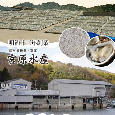 ふるさと納税 呉市 宮原水産　釜揚げしらす　500g(100g×5パック)