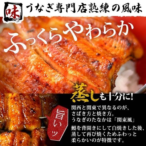 お歳暮 ギフト 2023 うなぎ 国産 プレゼント 土用の丑の日 蒲焼き 食べ物 誕生日 送料無料 ウナギ 鰻 蒲焼3枚 お年賀 御歳暮 御年賀 化粧箱 Bset 2〜3人用 AA