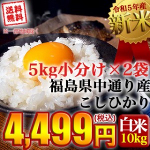 新米 お米 令和5年産 福島県中通り産コシヒカリ白米10kg(5kg×2個) 送料無料 ※一部地域を除く