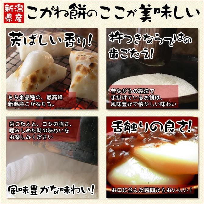 角餅 12枚入(570g) シングルパック 新潟産こがね餅 送料