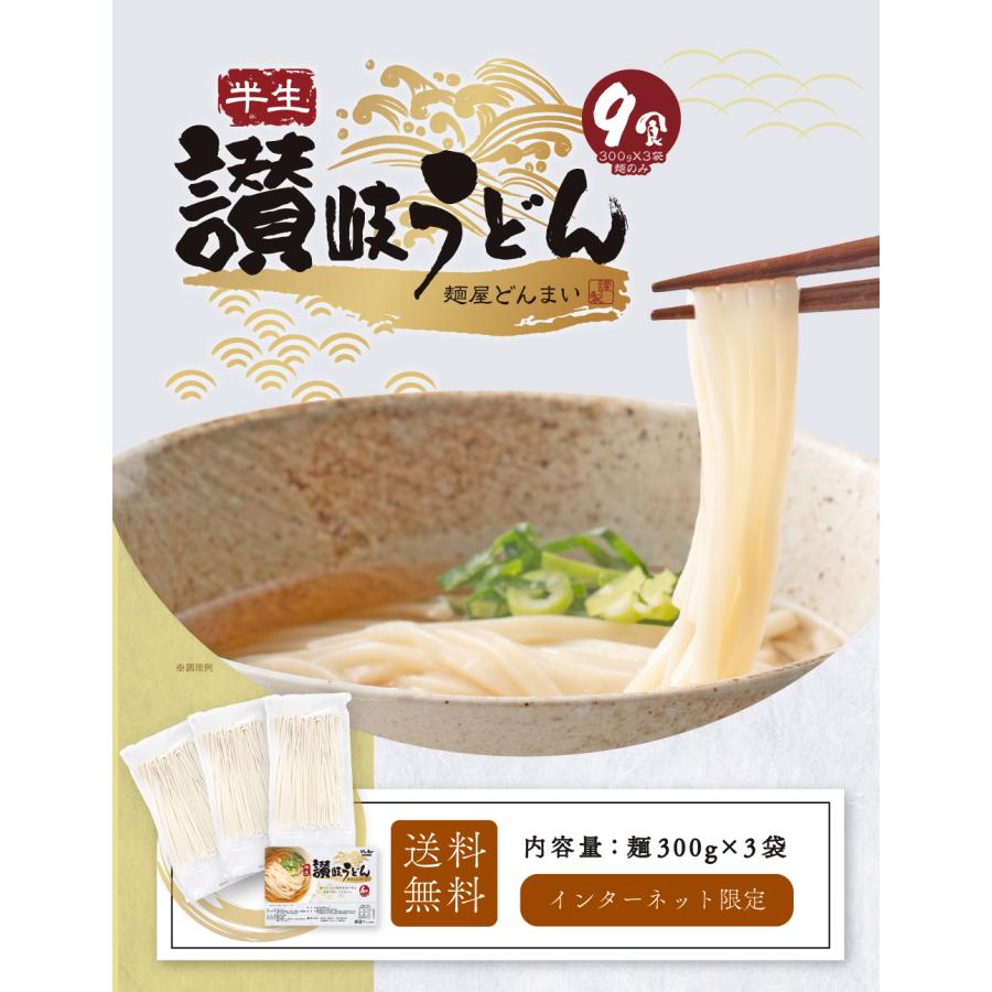 送料無料 半生うどん 9食 （300g×3）麺のみ 讃岐うどん ポイント利用 お試し ポイント消化 ご当地グルメ 食品 産直 おすすめ ポイント消費 食品 お取寄せ 香川