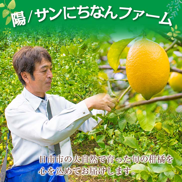 BA46-23 ≪数量限定≫ユーレカレモン(計5kg以上)傷み補償分200g付き　フルーツ　果物　柑橘　国産