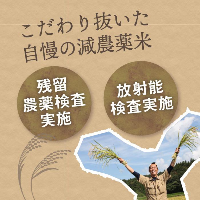 無洗米 新潟県産 コシヒカリ 特別栽培米 10kg 令和5年産 新米 こしひかり 10キロ 農家直送 減農薬