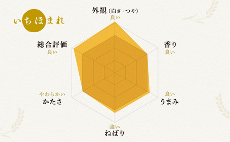 無洗米 令和５年産 いちほまれ 10kg 福井 高級ブランド米 お米 おこめ 米 コメ こめ 白米 精米 ご飯 ごはん 福井県