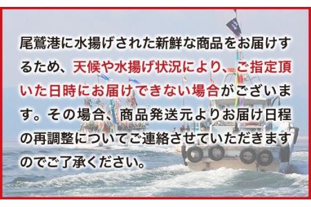 活伊勢エビ 約700gセット （２〜３尾）《10月12日～4月期間限定出荷：先行予約も可（到着日時指定必須商品）》　HA-45