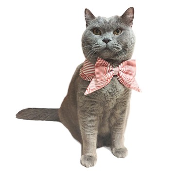 蝴蝶結領 - 格仔 (2色)