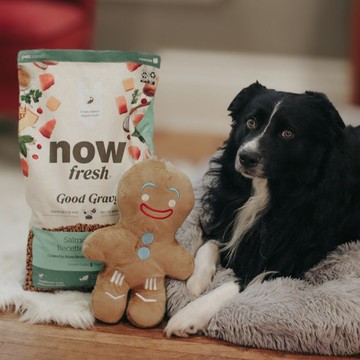 【狗主食】now 鮭魚 小型成犬 高湯天然糧 乾濕兩吃 狗飼料 狗糧