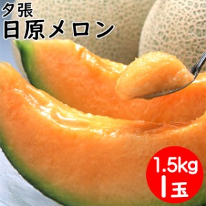 2024年 予約受付中 ギフト メロン 送料無料 北海道夕張産 日原メロン(約1.5kg×1玉)   北海道直送 産地直送 北海道産 夕張 赤肉メロン ゆ