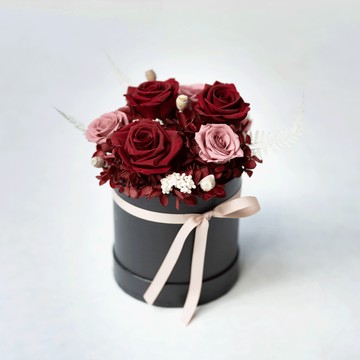 緋紅裙襬 恆星盆花