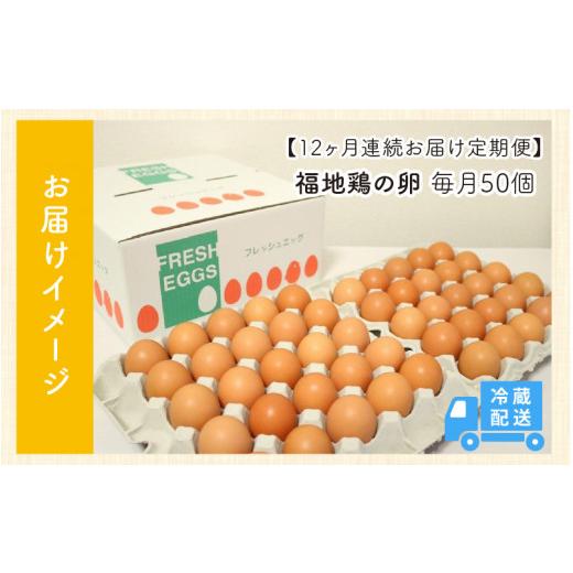 ふるさと納税 福井県 あわら市 福井ブランド「福地鶏」の卵 50個 濃厚で甘くておいしい！（25個入×2段）定期便