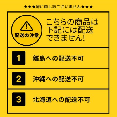 二人用ソファ 2P フロアソファ 42段階リクライニング ロータイプ使用可