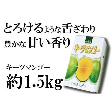 ふるさと納税 神谷ファームのキーツマンゴー 約1.5kg 沖縄県八重瀬町