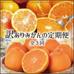 ふるさと納税 たっぷり届く♪訳ありみかんの定期便 和歌山県すさみ町