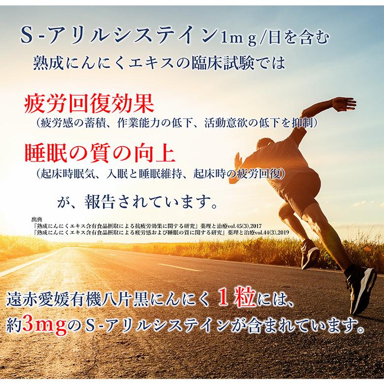 遠赤愛媛有機八片黒にんにく L玉 5個セット購入で1個サービス