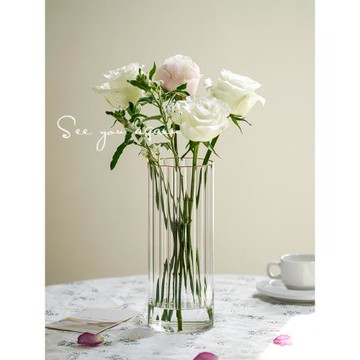 seeyou高級感ins風花瓶擺件客廳插花玻璃透明網紅水培水養鮮花瓶