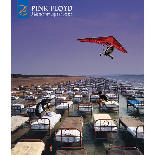 PINK FLOYD A MOMENTARY LAPSE OF REASON REMIXED UPDATES