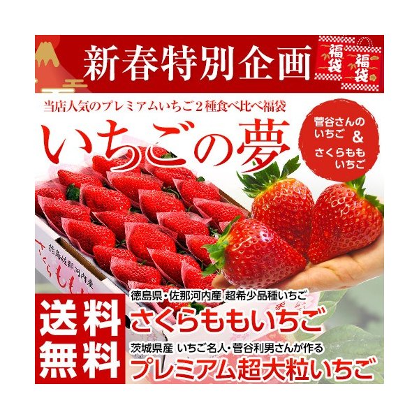 送料無料 新春スペシャル いちごの夢 さくらももいちご 菅谷さんの超大粒いちご 冷蔵 Frt 通販 Lineポイント最大0 5 Get Lineショッピング