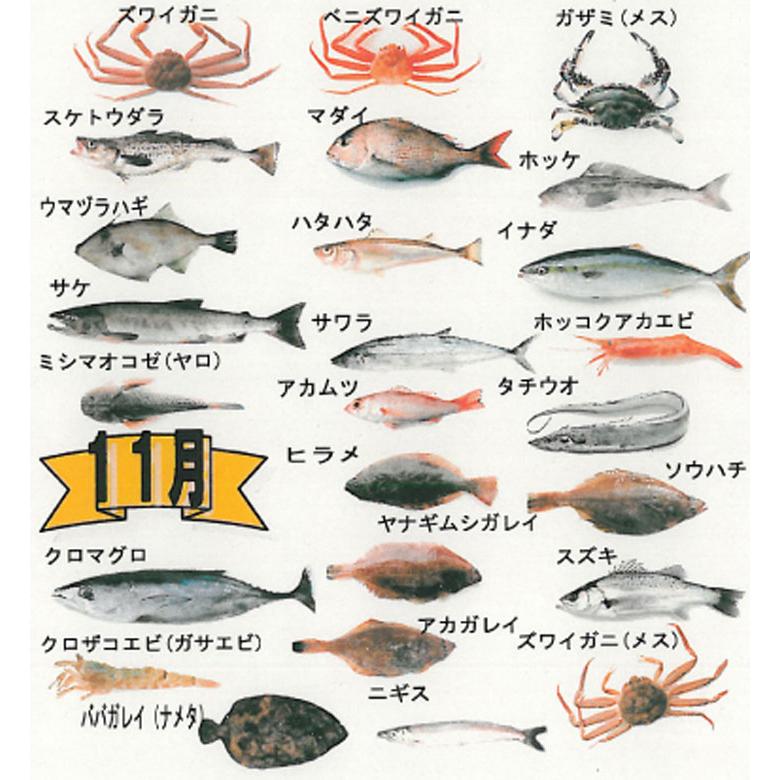 鮮魚ボックス セットA 山形県庄内産 鮮魚 詰め合わせ 直送 食の都庄内