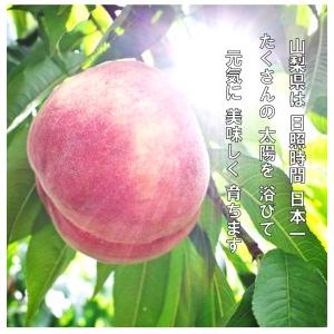 ふるさと納税 日本一の産地山梨県産　朝採れ桃２kg(５〜８玉） 山梨県都留市