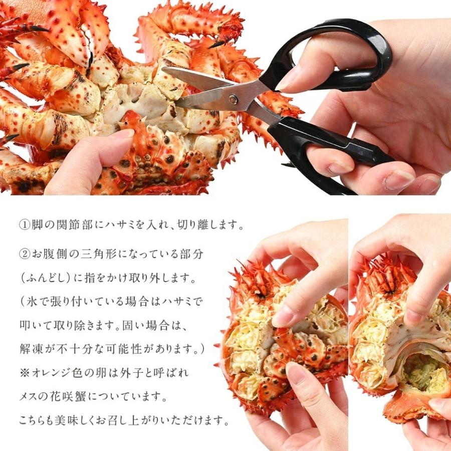 かに カニ 蟹 花咲蟹 北海道 根室産 花咲ガニ 姿 400〜500g×2尾セット 島の人 お取り寄せグルメ