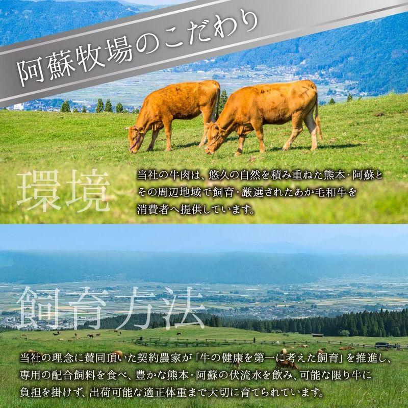 熊本県産 赤牛 焼肉 500g 和牛 国産 あかうし おまかせ 焼肉セット 牛肉 阿蘇牧場