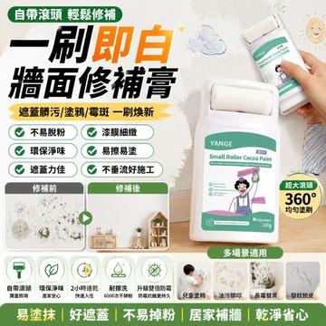 補牆膏 牆面修補膏 牆壁修補膏 微水泥 填縫膠 防水補牆膏 防水補土 補土膏 補牆 修補膏 壁癌修補膏 防水膏 牆面修補