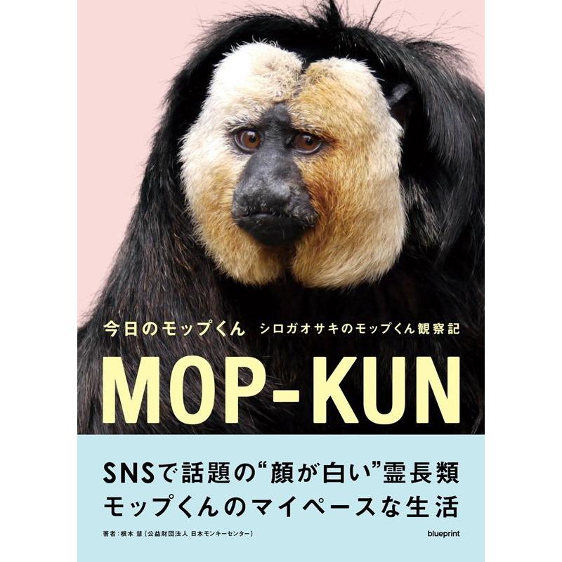 根本慧 今日のモップくん シロガオサキのモップくん観察記 Book