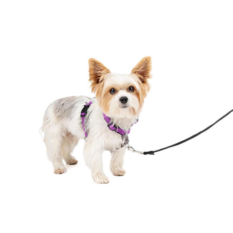 ペットセーフ PetSafe in Dog Harness ー No Pull Solution for Dogs