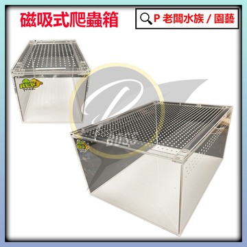 P老闆水族~磁吸式壓克力爬蟲盒 大中小 守宮箱 爬箱 飼養箱 寵物箱 飼養盒 飼養缸  守宮 角蛙 蛇 蠍子 蜘蛛 爬
