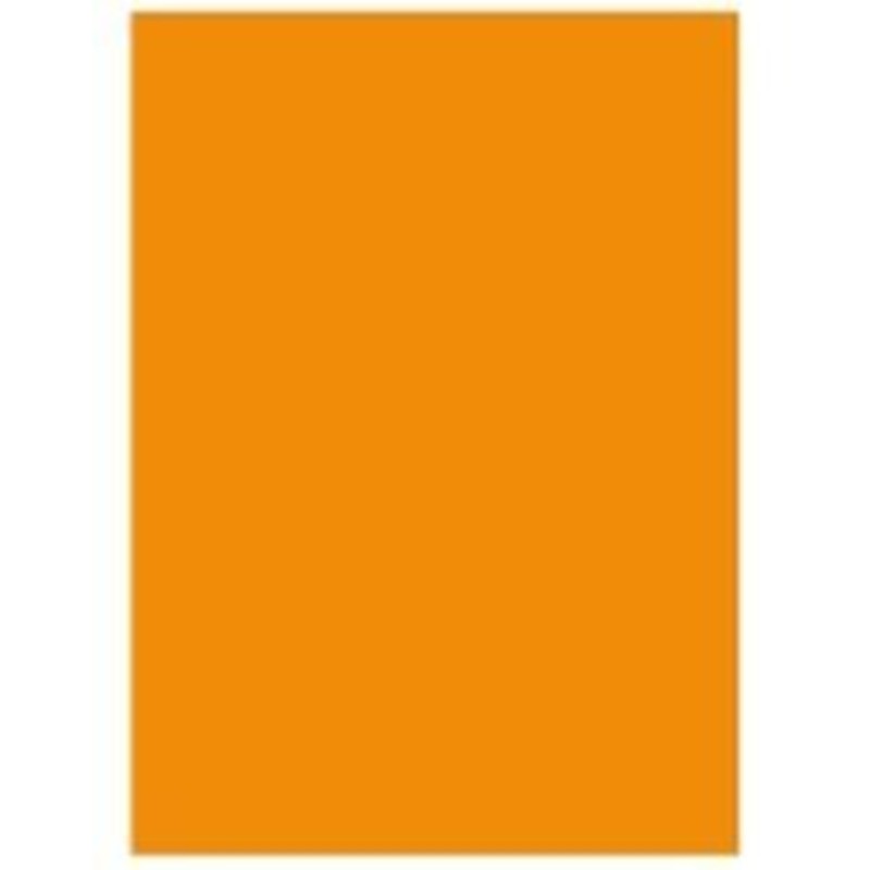 (業務用5セット) 北越製紙 カラーペーパー リサイクルコピー用紙 〔B4 500枚×5冊〕 日本製 オレンジ - 2