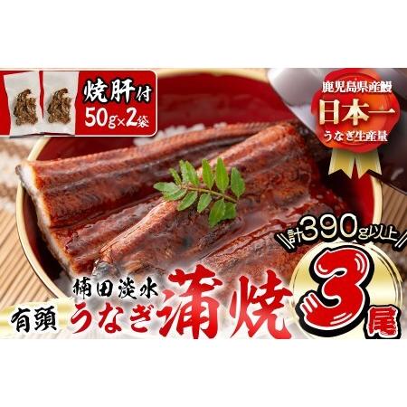 ふるさと納税 b0-040 楠田の極うなぎ蒲焼き 130g以上×3尾(計390g以上) 焼肝2袋付き 鹿児島県志布志市