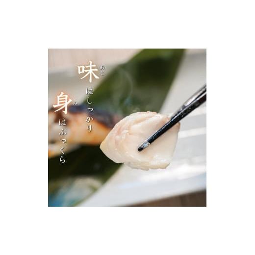 ふるさと納税 静岡県 焼津市 a12-115　銀鱈粕漬け（約80g×10切れ）