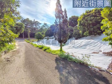 義大世界旁學府路上大面積大面寬權利地｜高雄市仁武區觀音湖段