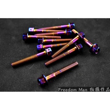 自由人 ZOO |  白鐵鍍鈦 6X40 內外六角 螺絲 白鐵螺絲 一隻入