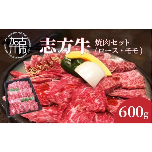 ふるさと納税 兵庫県 加古川市 志方牛焼肉セット（600g）