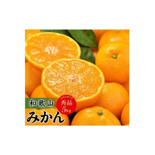 ふるさと納税 和歌山県 太地町 田村みかん　秀品5キロ／サイズおまかせ◆2023年11月下旬〜2024年1月下旬頃に発送(お届け日指定不可)　紀伊国屋文…