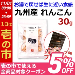  九州産 れんこん 30g 国産 乾燥野菜 味噌汁の具 みそ汁の具 和え物 サラダ 炒め物 野菜炒め