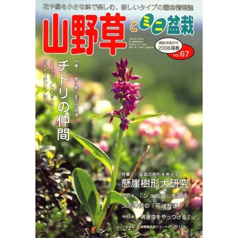 山野草とミニ盆栽 2008年 05月号 雑誌