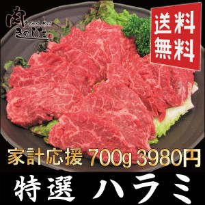 牛 特選ハラミ 700g  牛肉 BBQ バーベキュー 焼肉 大容量 送料無料 ハラミ肉